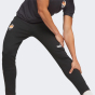 Спортивные штаны Puma FCSD Casuals Pants, фото 1 - интернет магазин MEGASPORT