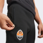 Спортивные штаны Puma FCSD Casuals Pants, фото 4 - интернет магазин MEGASPORT