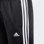 Спортивный костюм Adidas детский J CAMLOG TS, фото 8 - интернет магазин MEGASPORT
