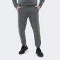 Спортивные штаны Puma RAD/CAL Sweatpants DK cl, фото 1 - интернет магазин MEGASPORT