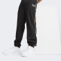 Спортивные штаны Puma TEAM Track Pant WV, фото 1 - интернет магазин MEGASPORT