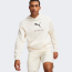 puma_better-sportswear-hoodie_65eae89fe6253