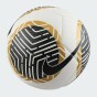 Мяч Nike Pitch, фото 2 - интернет магазин MEGASPORT