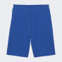 Шорти Puma ESS+ PALM RESORT Shorts 10" TR, фото 5 - інтернет магазин MEGASPORT