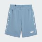 Шорти Puma ESS+ Tape Shorts 9" TR, фото 7 - інтернет магазин MEGASPORT