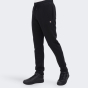 Спортивнi штани Champion straight hem pants, фото 1 - інтернет магазин MEGASPORT