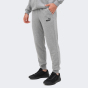 Спортивные штаны Puma Ess Logo Pants, фото 1 - интернет магазин MEGASPORT