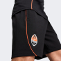 Спортивнi штани Puma FCSD Casuals Shorts, фото 4 - інтернет магазин MEGASPORT