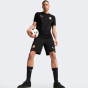 Спортивнi штани Puma FCSD Casuals Shorts, фото 3 - інтернет магазин MEGASPORT