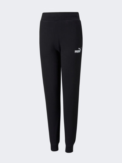 Спортивнi штани Puma ESS Sweatpants FL Cl G - 148501, фото 1 - інтернет-магазин MEGASPORT