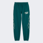 Спортивные штаны Puma детские BASKETBALL CAUTION SWEAT Pants B, фото 4 - интернет магазин MEGASPORT