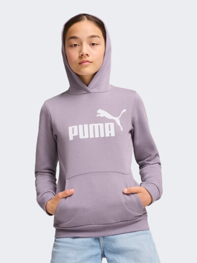 Кофта Puma ESS Logo Hoodie FL G - 167075, фото 1 - інтернет-магазин MEGASPORT