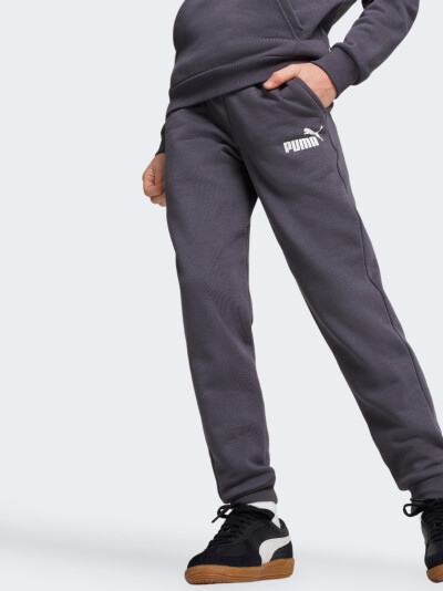 Спортивні штани Puma дитячі ESS Logo Pants FL cl B - 167074, фото 1 - інтернет-магазин MEGASPORT
