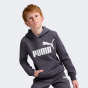 Кофта Puma дитяча ESS Big Logo Hoodie FL B, фото 1 - інтернет магазин MEGASPORT