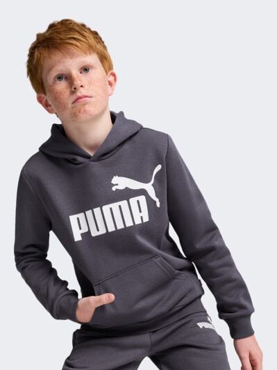 Кофта Puma дитяча ESS Big Logo Hoodie FL B - 167073, фото 1 - інтернет-магазин MEGASPORT
