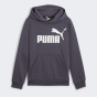 Кофта Puma дитяча ESS Big Logo Hoodie FL B, фото 4 - інтернет магазин MEGASPORT