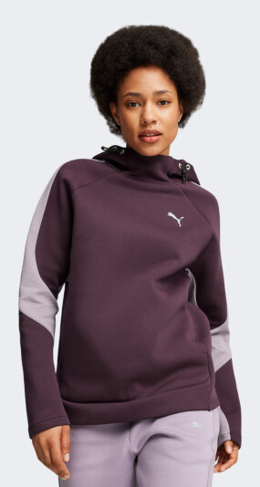 Кофта Puma EVOSTRIPE Hoodie - 167106, фото 1 - інтернет-магазин MEGASPORT