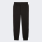 Спортивные штаны Puma POWER Graphic Sweatpants FL cl, фото 2 - интернет магазин MEGASPORT
