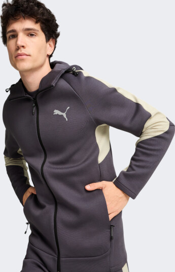 Кофта Puma EVOSTRIPE Full-Zip Hoodie DK - 167109, фото 1 - интернет-магазин MEGASPORT