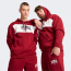 puma_squad-hoodie-fl_66b9c4dba8583