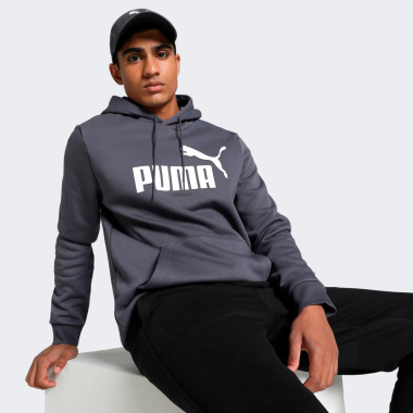 Кофти Puma ESS Big Logo Hoodie FL (s) - 167682, фото 1 - інтернет-магазин MEGASPORT