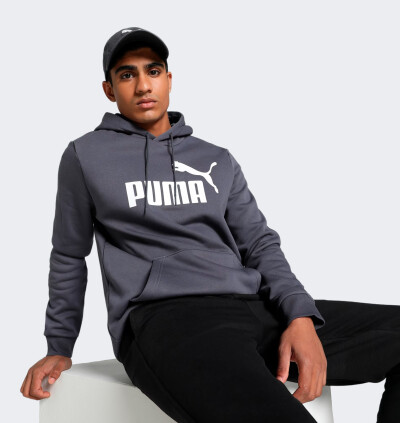 Кофта Puma ESS Big Logo Hoodie FL (s) - 167682, фото 1 - интернет-магазин MEGASPORT
