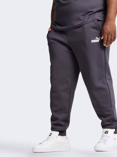 Спортивные штаны Puma ESS Logo Pants FL cl (s) - 167684, фото 1 - интернет-магазин MEGASPORT