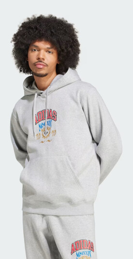 Кофта Adidas Originals VRCT HOODED 1 - 167808, фото 1 - интернет-магазин MEGASPORT