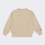 champion_detskaya-crewneck-sweatshirt_66b48f6492bf3