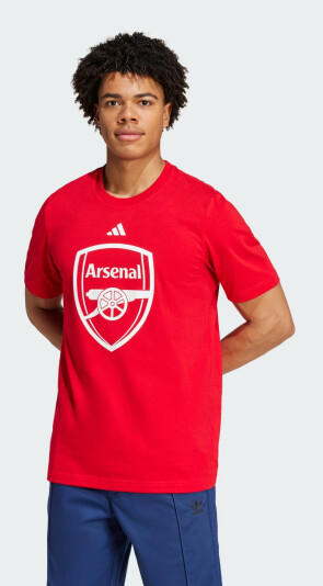 Футболка Adidas AFC DNA GR TEE - 167757, фото 1 - інтернет-магазин MEGASPORT