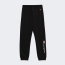 champion_detskie-elastic-cuff-pants_66c704d38244b