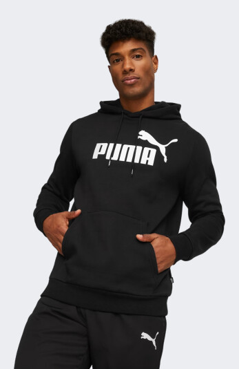 Кофта Puma ESS Big Logo Hoodie FL - 140574, фото 1 - интернет-магазин MEGASPORT