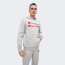 champion_hooded-sweatshirt_66cecd7648b1c