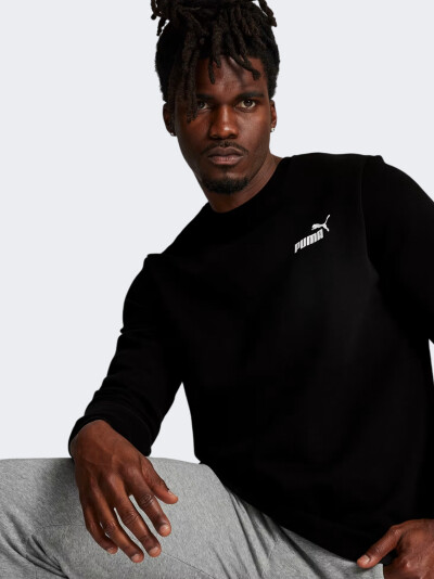 Кофта Puma Ess Small Logo Crew Fl - 140573, фото 1 - інтернет-магазин MEGASPORT
