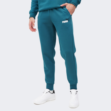 Спортивные штаны Puma ESS+ 2 Col Logo Pants FL cl - 167505, фото 1 - интернет-магазин MEGASPORT