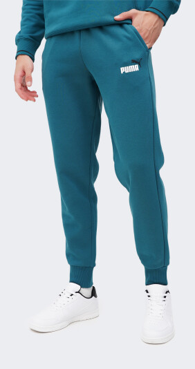 Спортивні штани Puma ESS+ 2 Col Logo Pants FL cl - 167505, фото 1 - інтернет-магазин MEGASPORT
