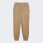 Спортивные штаны Puma ESS Sweatpants FL cl (s), фото 1 - интернет магазин MEGASPORT