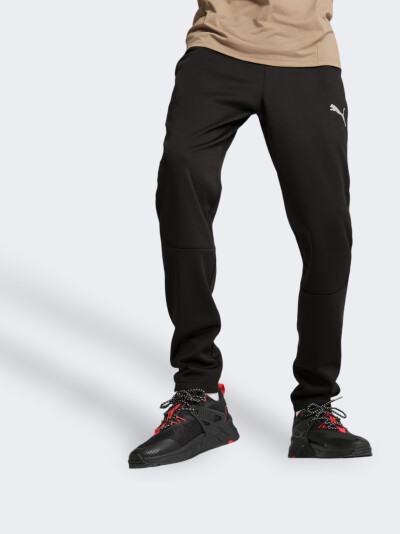 Спортивные штаны Puma EVOSTRIPE Warm Pants DK - 168822, фото 1 - интернет-магазин MEGASPORT