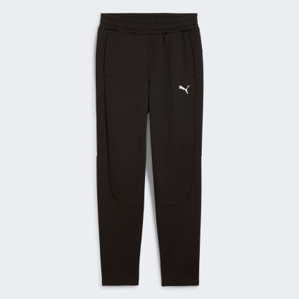 Спортивнi штани Puma EVOSTRIPE Winterized Pants - 168819, фото 1 - інтернет-магазин MEGASPORT