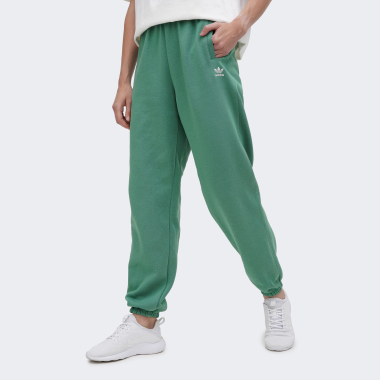 Спортивні штани Adidas Originals ESS JOGGERS - 168145, фото 1 - інтернет-магазин MEGASPORT