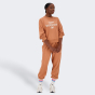 Спортивные штаны New Balance Essentials Reimagined Arch. Graphic Pant, фото 3 - интернет магазин MEGASPORT