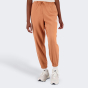 Спортивные штаны New Balance Essentials Reimagined Arch. Graphic Pant, фото 1 - интернет магазин MEGASPORT