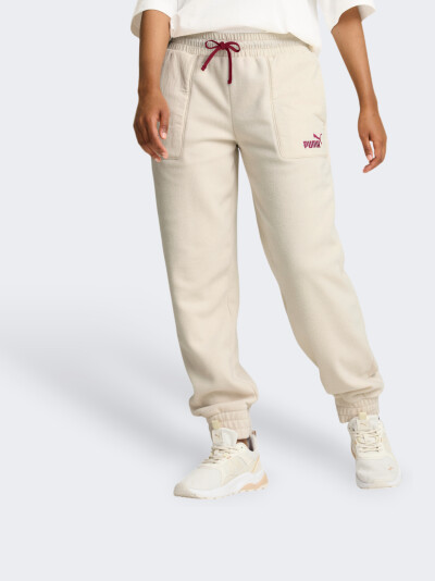 Спортивные штаны Puma ESS ELEVATED Winterized Pants - 169016, фото 1 - интернет-магазин MEGASPORT