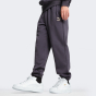 Спортивные штаны Puma Classics Small Logo Sweatpants FL, фото 1 - интернет магазин MEGASPORT