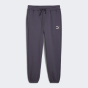 Спортивные штаны Puma Classics Small Logo Sweatpants FL, фото 7 - интернет магазин MEGASPORT