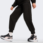 Спортивные штаны Puma ESS ELEVATED Winterized Pants, фото 1 - интернет магазин MEGASPORT