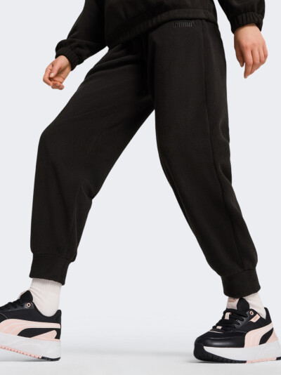 Спортивні штани Puma ESS ELEVATED Winterized Pants - 169158, фото 1 - інтернет-магазин MEGASPORT