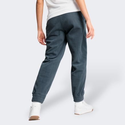 Спортивнi штани Puma ESS ELEVATED Winterized Pants - 169165, фото 2 - інтернет-магазин MEGASPORT