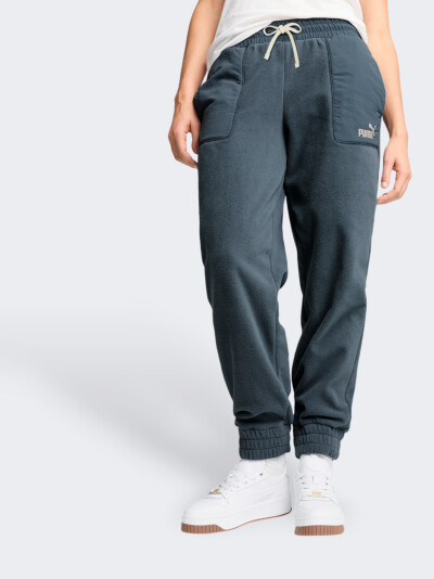 Спортивнi штани Puma ESS ELEVATED Winterized Pants - 169165, фото 1 - інтернет-магазин MEGASPORT