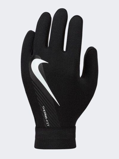 Рукавички Nike Therma-FIT Academy - 169210, фото 1 - інтернет-магазин MEGASPORT